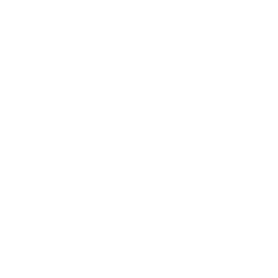 Website Development Icon